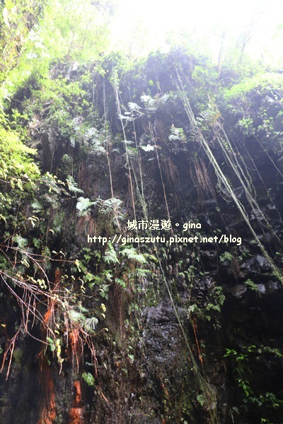 IMG_9399.JPG IMG_9399.JPG