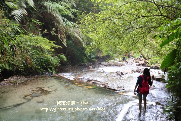 IMG_9403.JPG IMG_9403.JPG