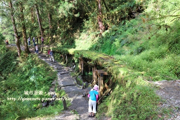 IMG_9820.JPG IMG_9820.JPG