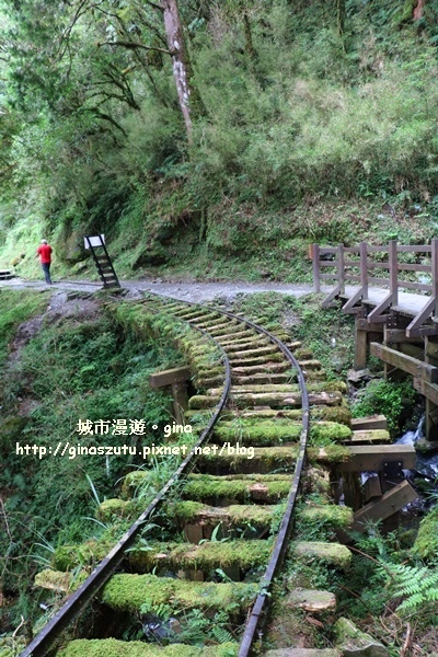 IMG_9826.JPG IMG_9826.JPG