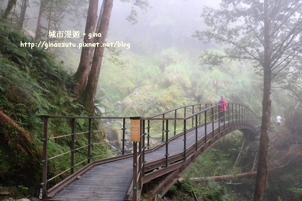 IMG_9828.JPG IMG_9828.JPG