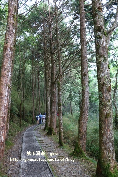 IMG_9837.JPG IMG_9837.JPG