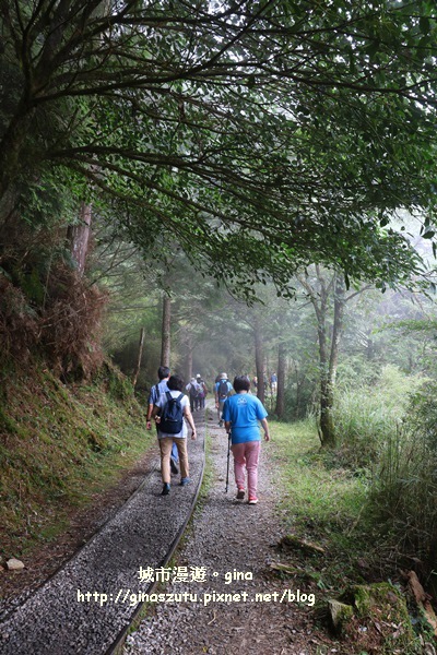 IMG_9835.JPG IMG_9835.JPG