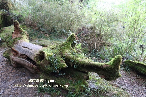 IMG_9840.JPG IMG_9840.JPG