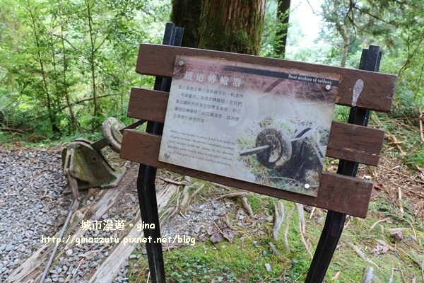 IMG_9849.JPG IMG_9849.JPG