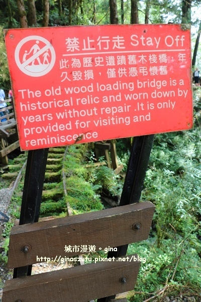 IMG_9855.JPG IMG_9855.JPG