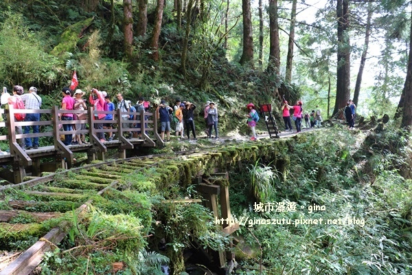 IMG_9853.JPG IMG_9853.JPG