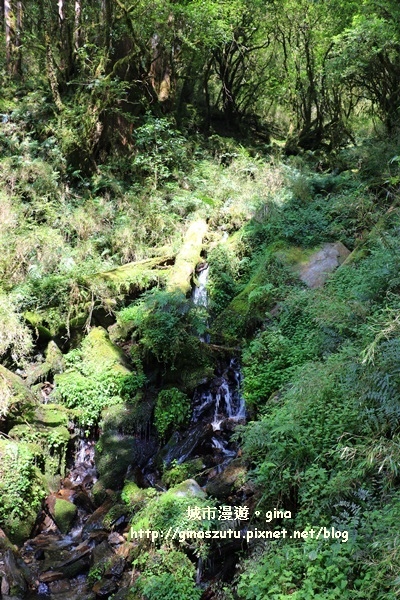 IMG_9865.JPG IMG_9865.JPG