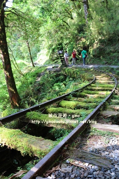 IMG_9869.JPG IMG_9869.JPG