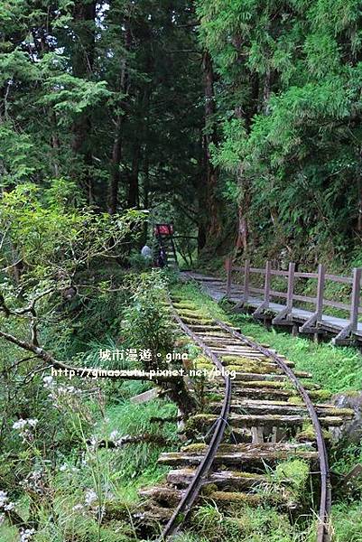 IMG_9877.JPG IMG_9877.JPG