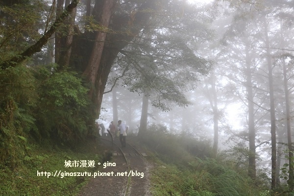 IMG_9899.JPG IMG_9899.JPG