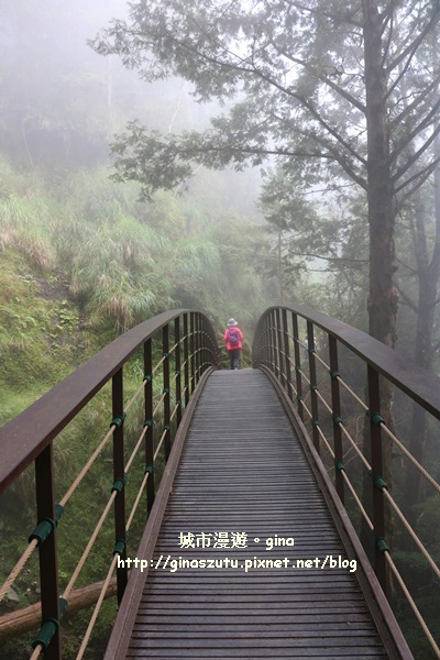 IMG_9906.JPG IMG_9906.JPG