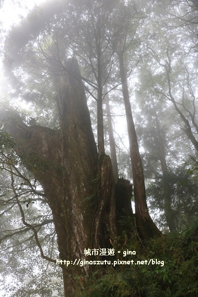 IMG_9903.JPG IMG_9903.JPG