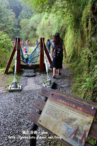 IMG_9920.JPG IMG_9920.JPG