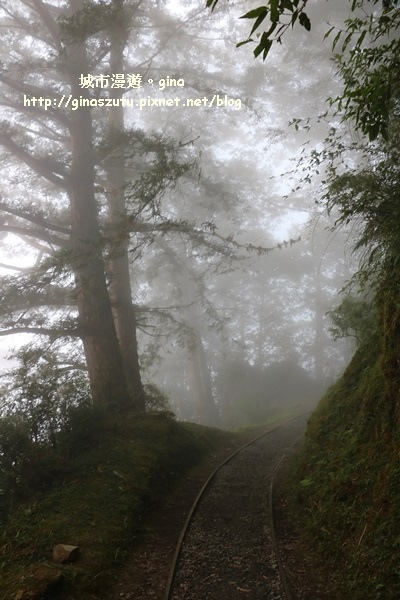 IMG_9924.JPG IMG_9924.JPG