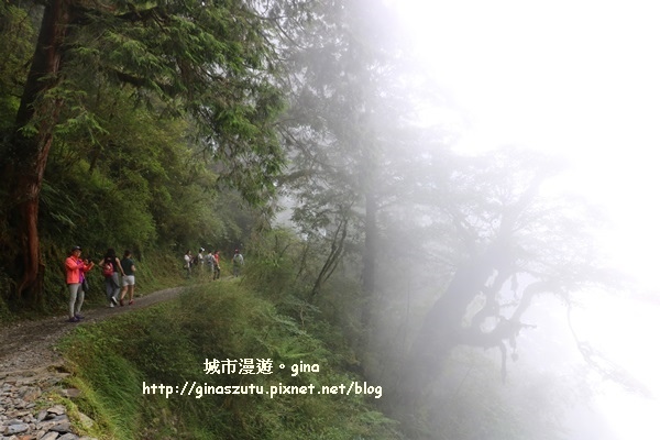 IMG_9930.JPG IMG_9930.JPG