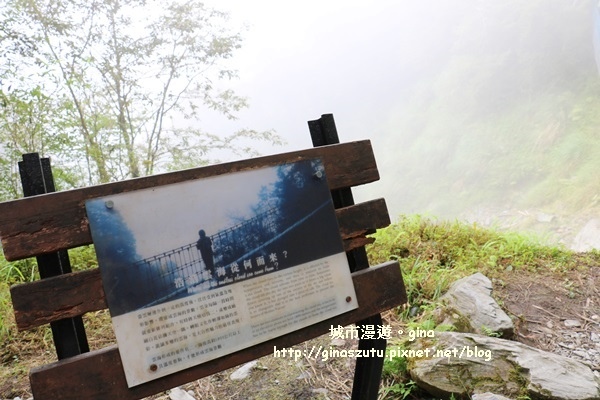 IMG_9934.JPG IMG_9934.JPG