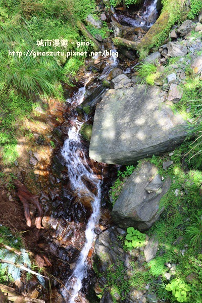 IMG_9955.JPG IMG_9955.JPG