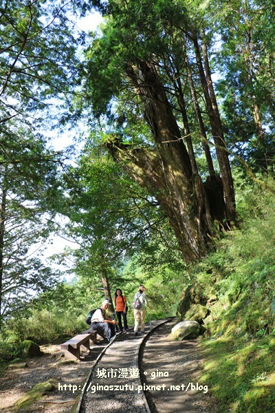 IMG_9958.JPG IMG_9958.JPG