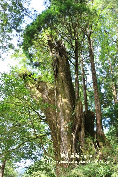 IMG_9959.JPG IMG_9959.JPG