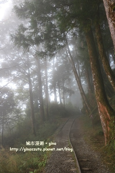 IMG_9970.JPG IMG_9970.JPG