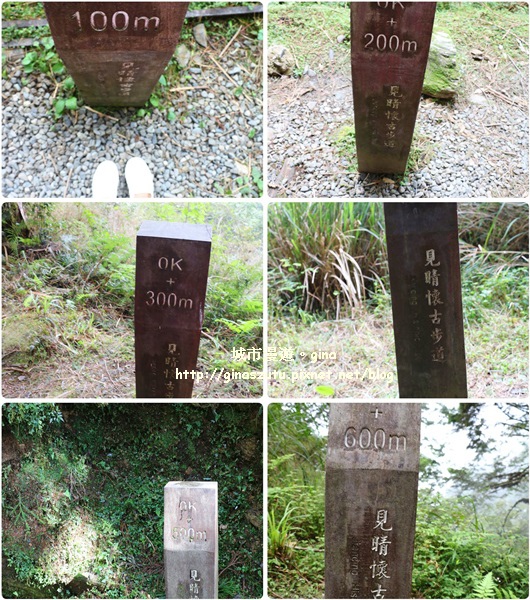 IMG_9974-tile.jpg IMG_9974-tile.jpg