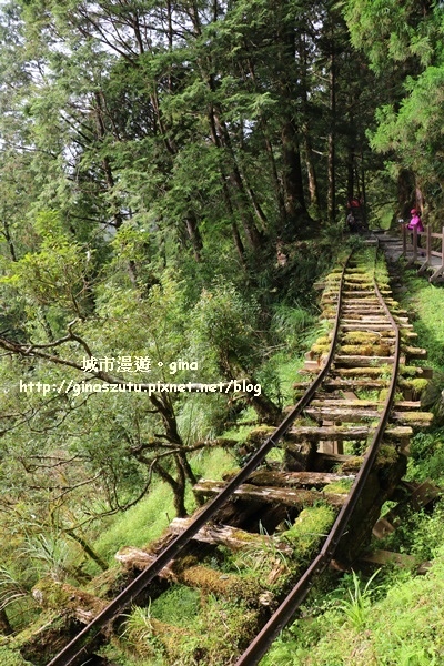 IMG_9979.JPG IMG_9979.JPG