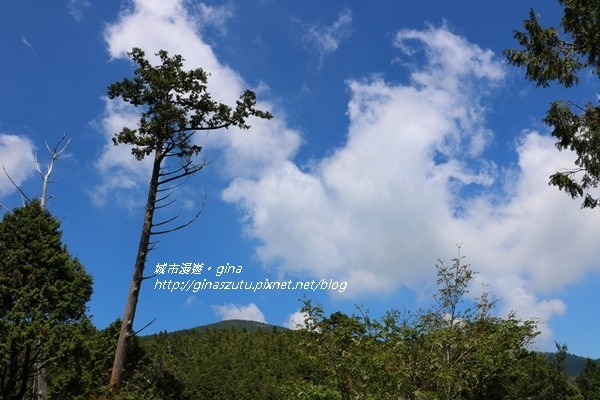 IMG_0062.JPG IMG_0062.JPG