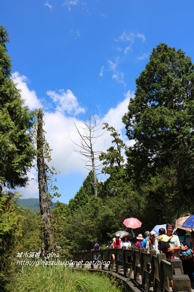 IMG_0115.JPG IMG_0115.JPG