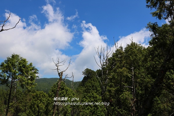 IMG_0112.JPG IMG_0112.JPG