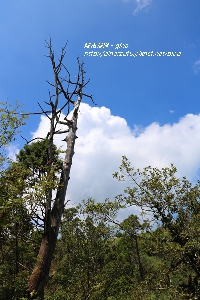 IMG_0118.JPG IMG_0118.JPG