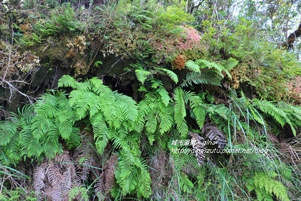 IMG_0122.JPG IMG_0122.JPG