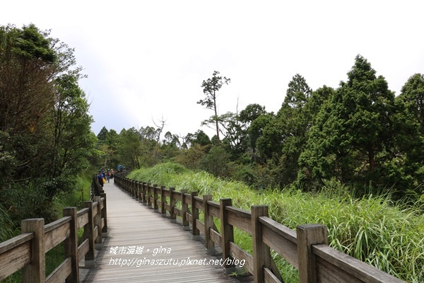 IMG_0151.JPG IMG_0151.JPG