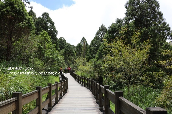 IMG_0153.JPG IMG_0153.JPG