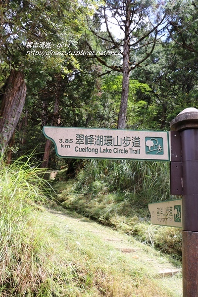 IMG_0155.JPG IMG_0155.JPG