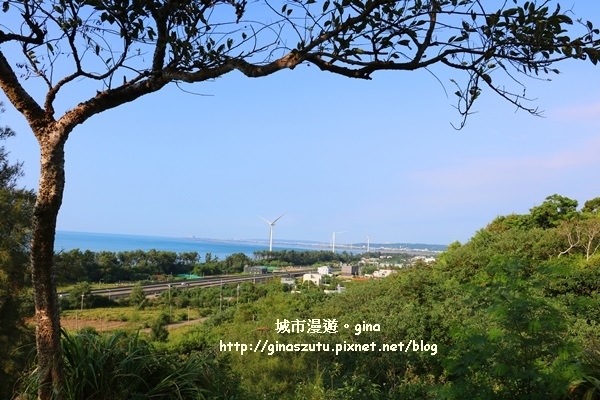 IMG_1004.JPG IMG_1004.JPG