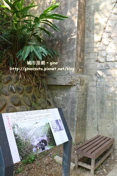 IMG_1136.JPG IMG_1136.JPG