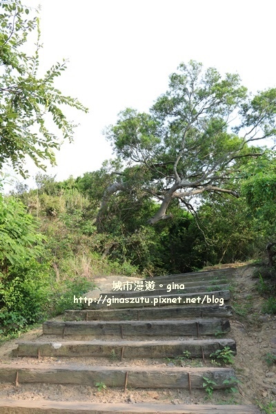 IMG_1192.JPG IMG_1192.JPG