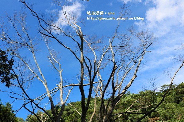 IMG_2240.JPG IMG_2240.JPG