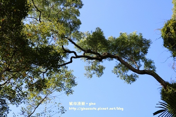 IMG_2235.JPG IMG_2235.JPG