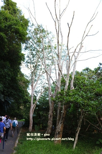 IMG_2243.JPG IMG_2243.JPG