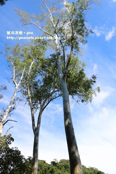 IMG_2288.JPG IMG_2288.JPG