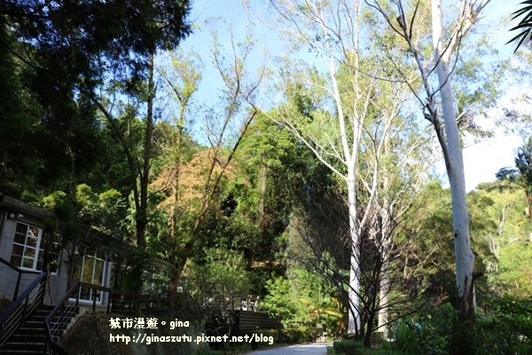 IMG_2290.JPG IMG_2290.JPG