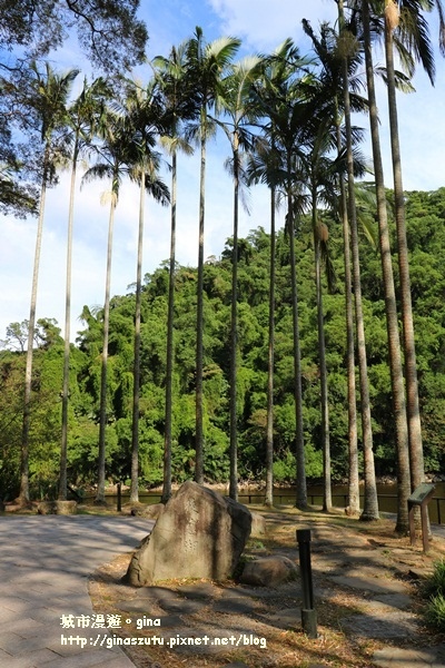 IMG_2297.JPG IMG_2297.JPG