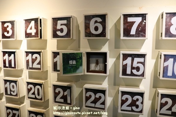 IMG_2307.JPG IMG_2307.JPG