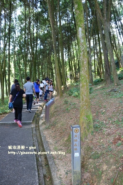 IMG_2338.JPG IMG_2338.JPG