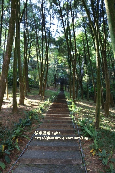 IMG_2340.JPG IMG_2340.JPG