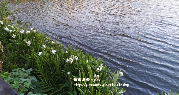 IMG_2457.jpg IMG_2457.jpg