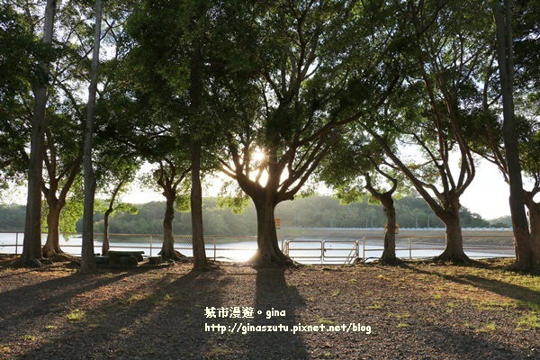 IMG_2704.JPG IMG_2704.JPG