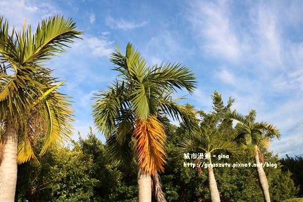 IMG_2741.JPG IMG_2741.JPG